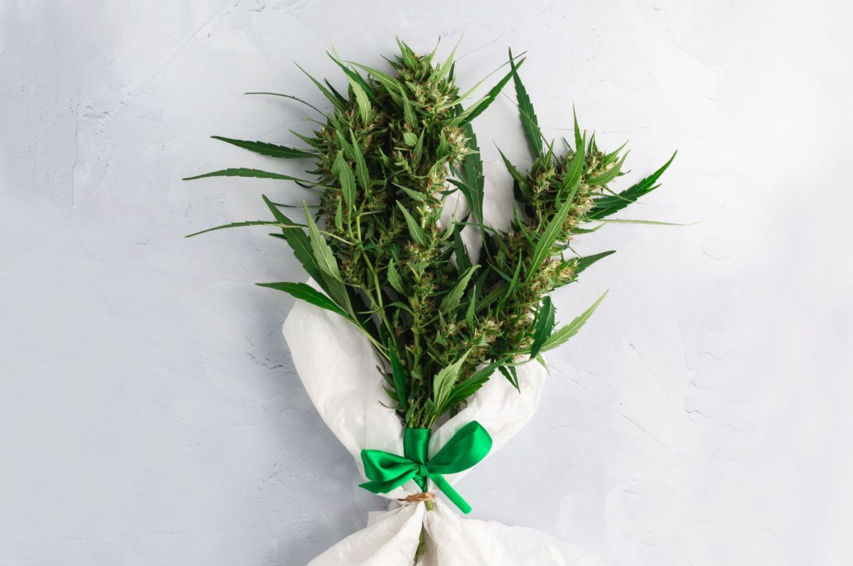 The Cannabis Gift Guide You Need!