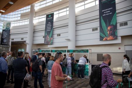Photo for: Why attend Cannabis Drinks Expo?