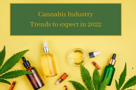 Photo for: What's up and coming in the cannabis industry?