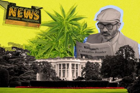 Photo for: USA Cannabis Politics & News