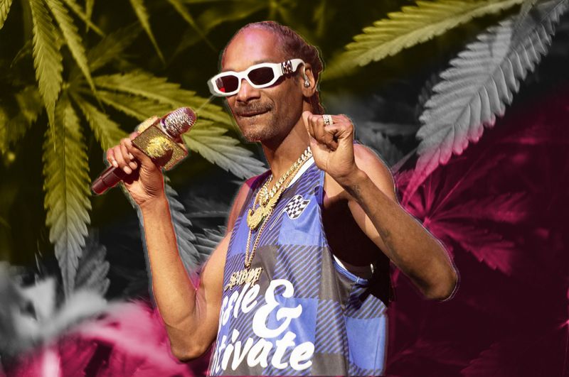 Photo for: Popular Celebrities in Cannabis